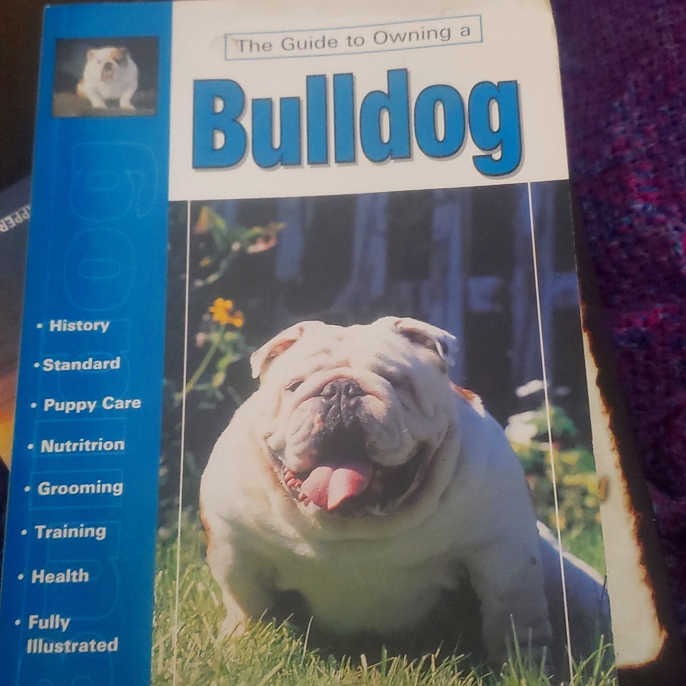 The Guide to owning a Bulldog